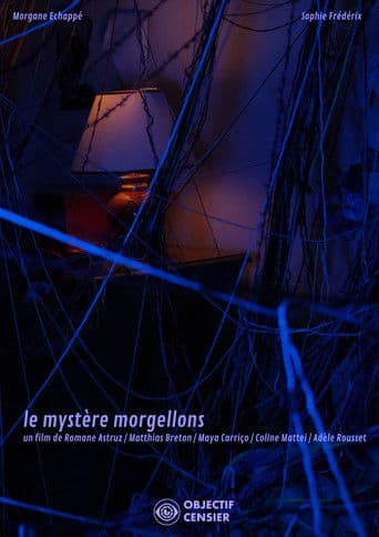 The Mystery of Morgellons