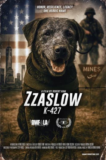Zzaslow K-427