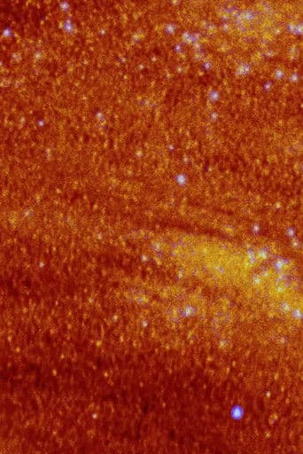 La plante dansante de désastres