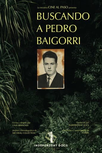 Buscando a Pedro Baigorri