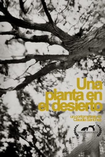 A plant in the desert