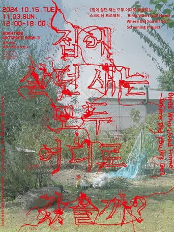 The Birds Who Lived Home - Where Did You All Go?