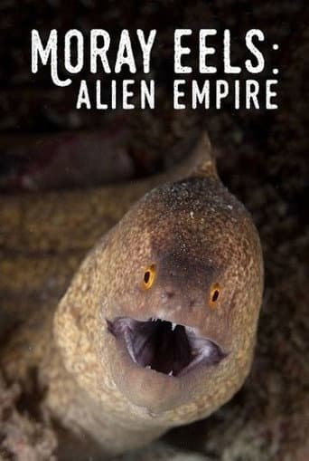 Moray Eels: Alien Empire