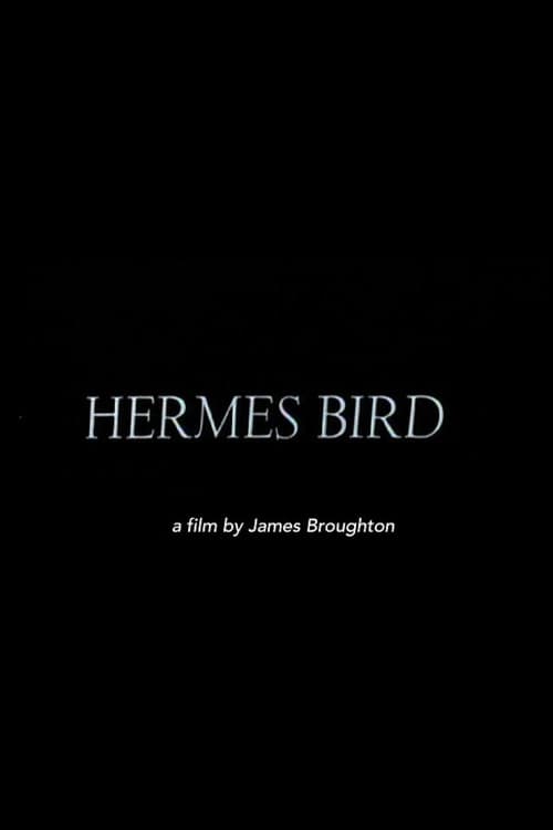 Hermes Bird