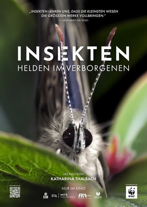 Insekten - Helden im Verborgenen