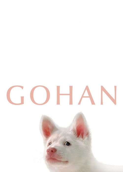 Gohan