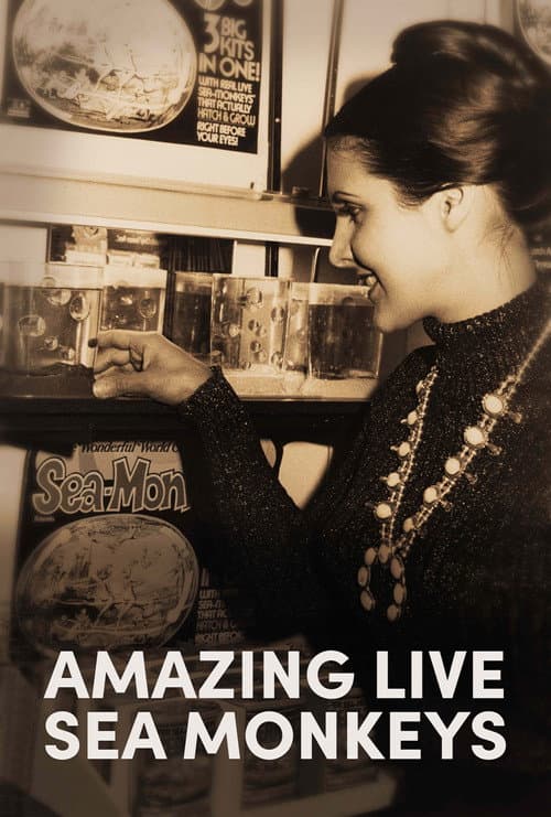 Amazing Live Sea Monkeys