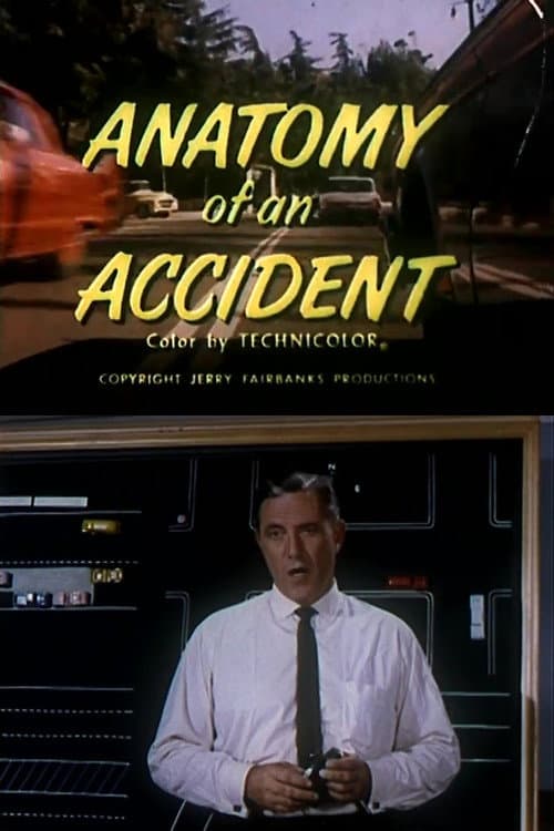 Anatomy of an Accident