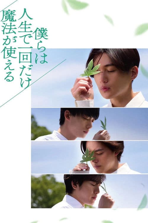 We Can Only Use Magic Once in Our Lives