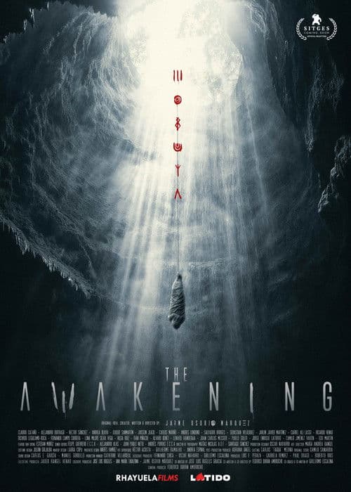 The Awakening