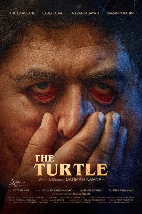 The Turtle