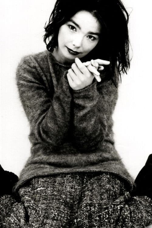 Björk's Greatest Hits: Volumes 1993-2003