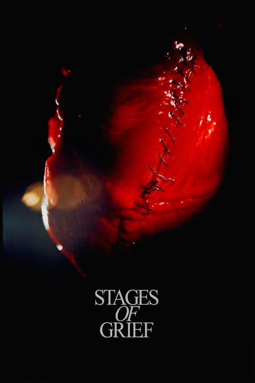 Stadier af sorg