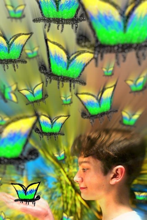 My Fascination With The Butterfly Effect