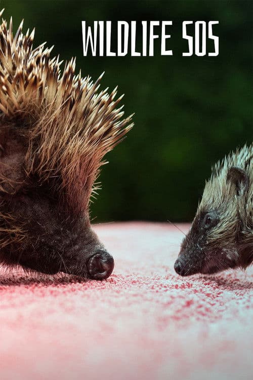 Wildlife SOS