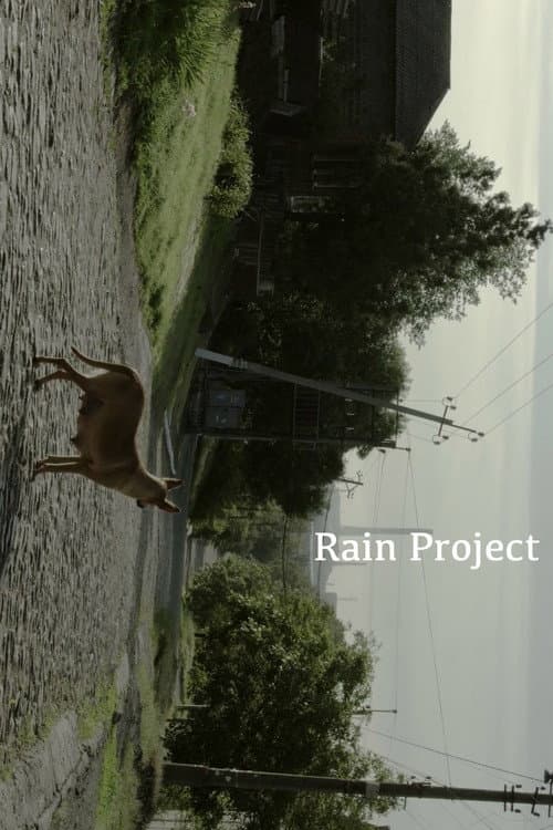Rain Project