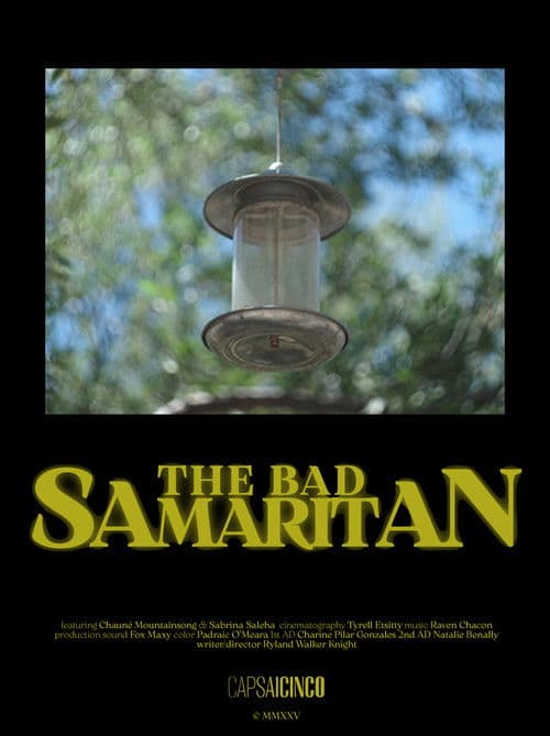 The Bad Samaritan