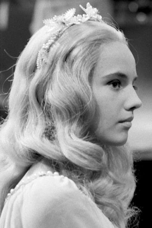 Malá mořská víla