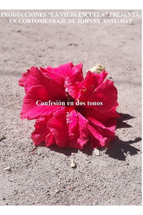 Confesión en dos tonos