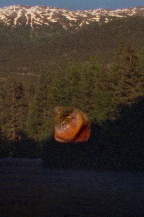 See Through the Hollowed Blue Hellebore