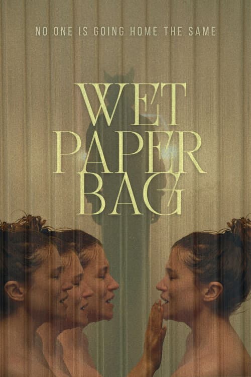 Wet Paper Bag