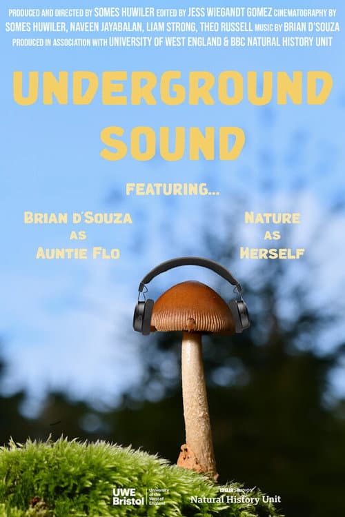 Underground Sound