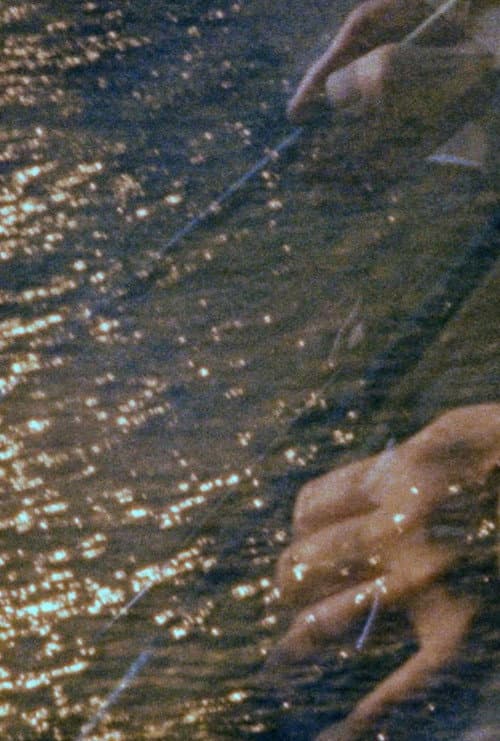 Practice Towards Light